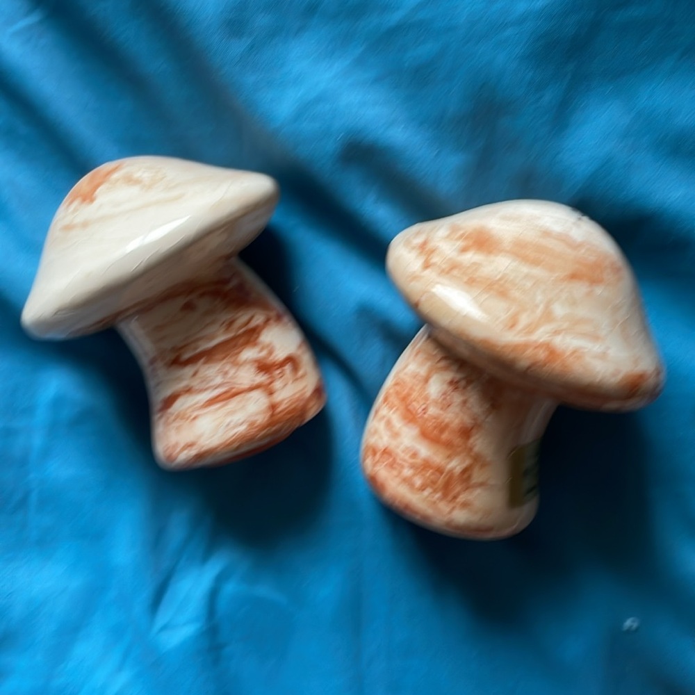 Mushroom Salt and Pepper Shakers   Made in Alaska w Sitka Clay